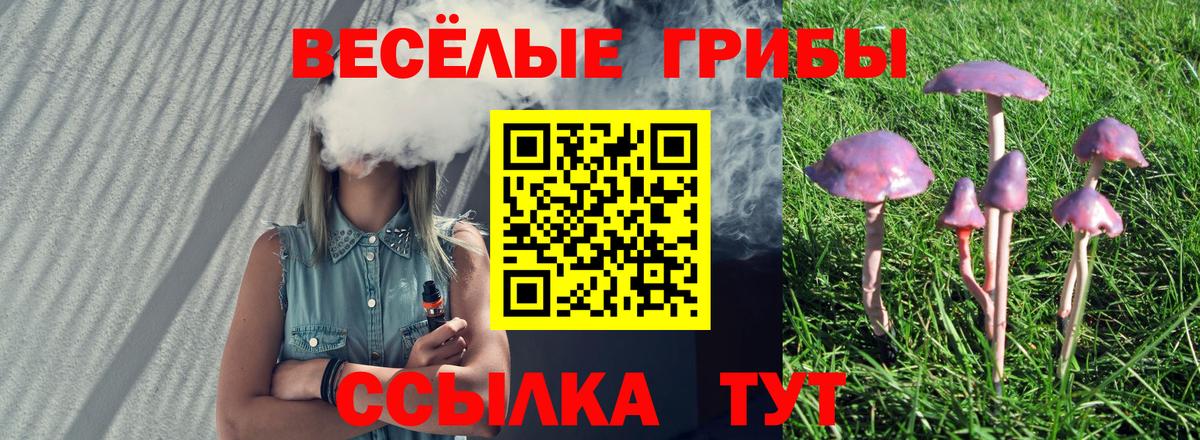 Галлюциногенные грибы GOLDEN TEACHER  Вход с VPN  Ростов Великий 